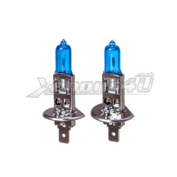 H1 488 P14.5S 55W 12V Super White Headlight Bulbs