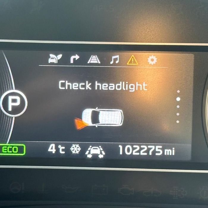 D8S 25W Xenon HID Bulbs